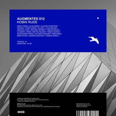 VA - Augmented 012 _ Hobin Rude ALLEYAUG012