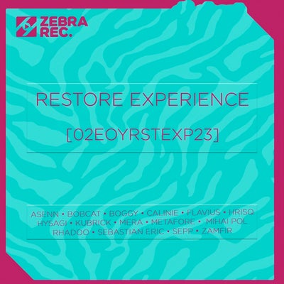 VA - Restore Experience 1848947