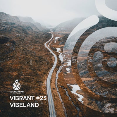 VA - Vibrant Vibeland #23 ST405