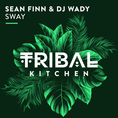 Dj Wady & Sean Finn - Sway (Original Mix)  [2022]