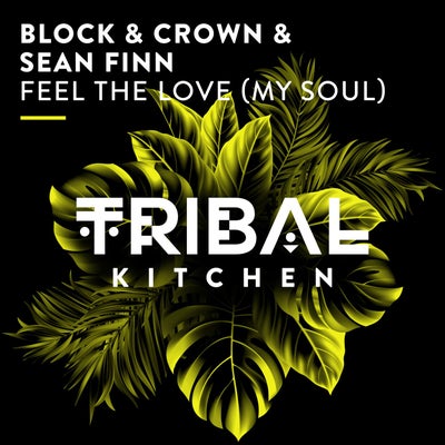 Block & Crown, Sean Finn - Feel The Love (Extended Mix) [2024]