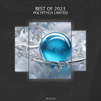 VA - Best of 2023 PLTL270 Polyptych Limited