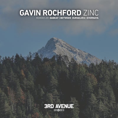 Gavin Rochford - Zinc (Evernaya's Tokyo Skyscraper Remix).mp3