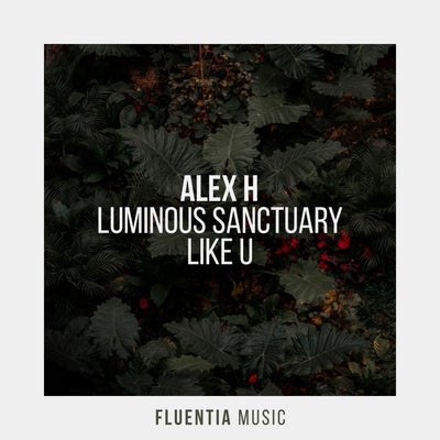 Alex H - Like U (Extended Mix) [2024]