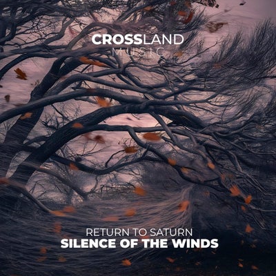 Silence of the Winds