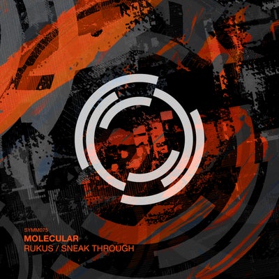 Rukus / Sneak Through