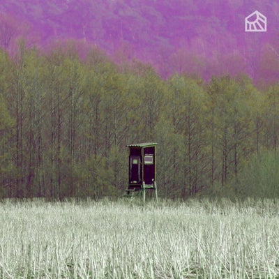 Afield EP