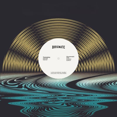Danube Dancer (Original Mix)