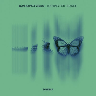 Looking For Change