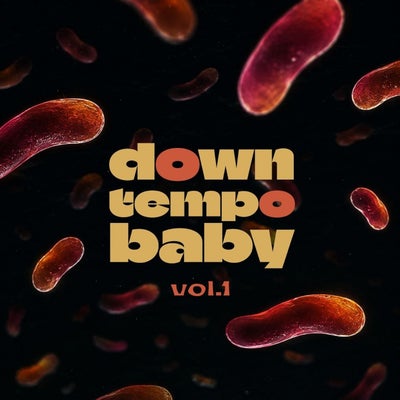 downtempo baby, Vol. 1