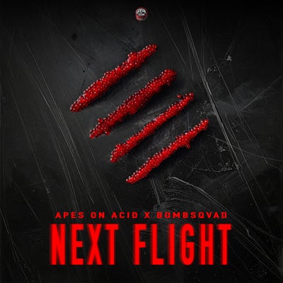 Next Flight