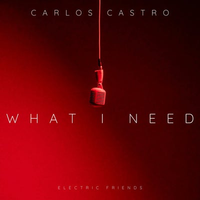 What I Need 
