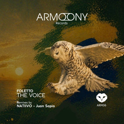 The Voice