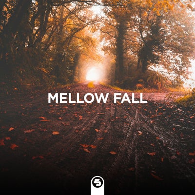 Mellow Fall