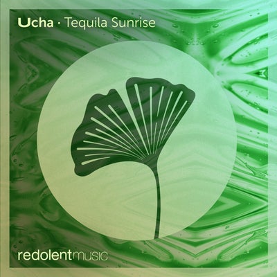 Tequila Sunrise