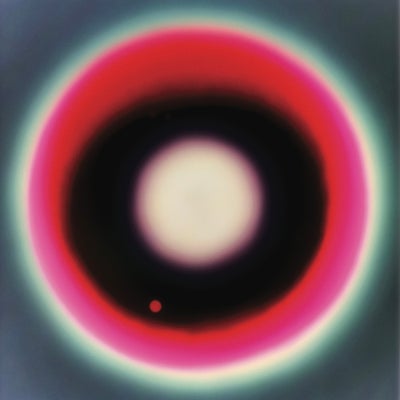 Elderberry Evolution