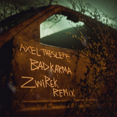 Bad Karma (&#379;wirek Remix)