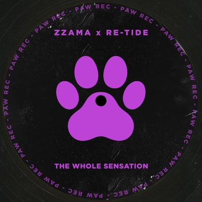 The Whole Sensation 