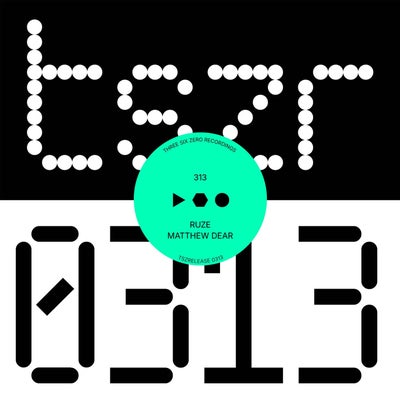 313