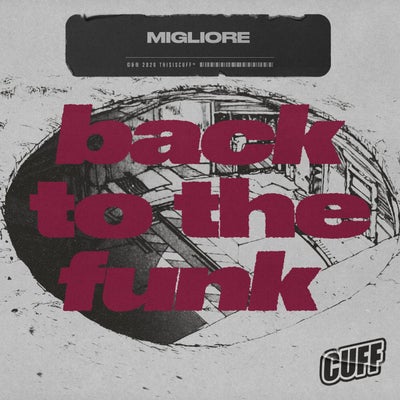 Back To The Funk