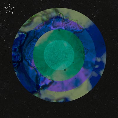 Cold Funktion EP