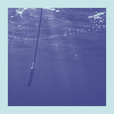 La Baleine et Le Musicien (Edit)
