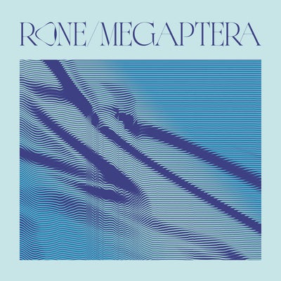 Megaptera (Original Soundtrack from the Movie the Musician and the Whale)