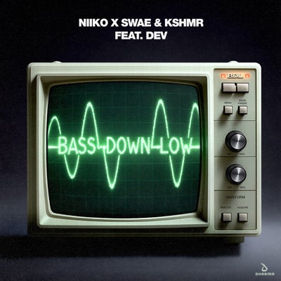 Bass Down Low (feat. DEV) (Extended Mix)