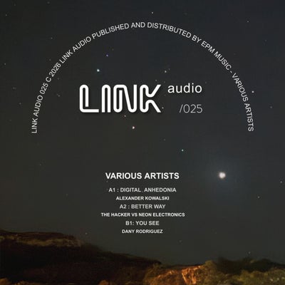 LINK Audio Various Artists Release