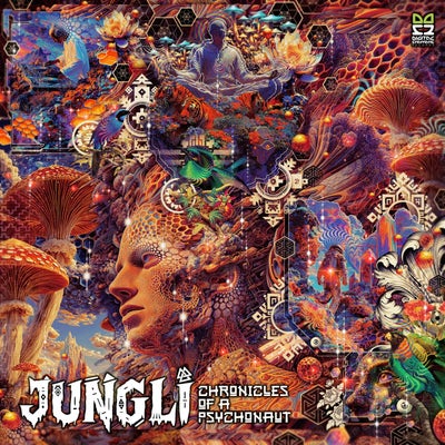 Chronicles of a Psychonaut