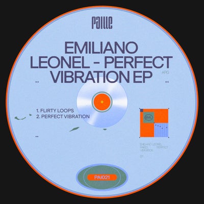 Perfect Vibration EP