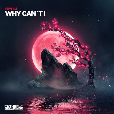 Why Can't I