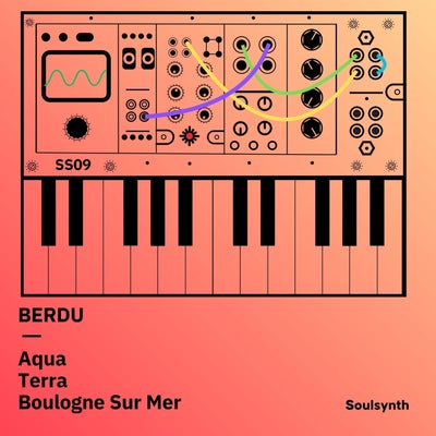 Soulsynth 09