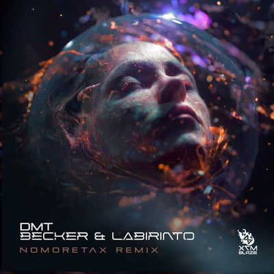 DMT (Nomoretax Remix)