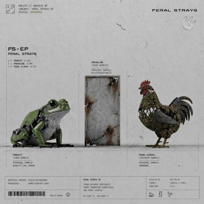FERAL STRAYS