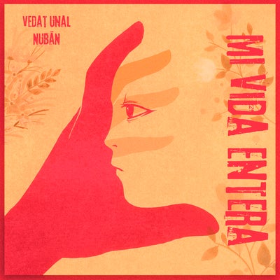 Mi Vida Entera (Extended Mix)