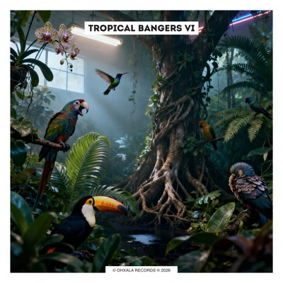 Tropical Bangers VI