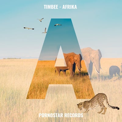 Afrika (Beatport Mix)