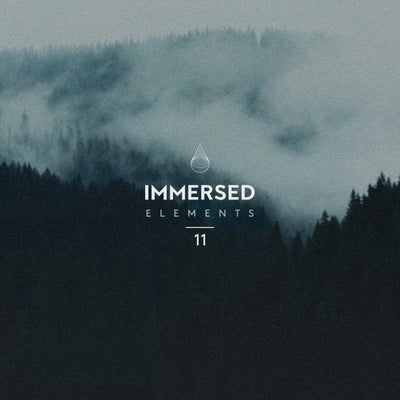 Immersed Elements 11