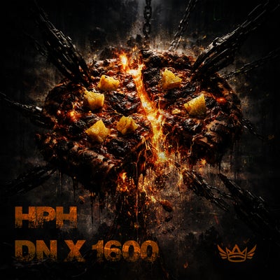 DN X 1600