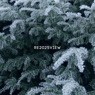 Re2025view