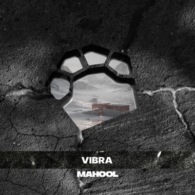 Vibra