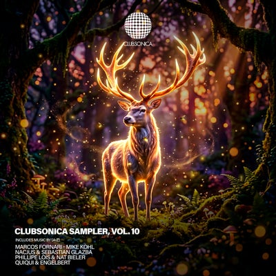 Clubsonica Sampler, Vol. 10