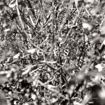 Der Wald