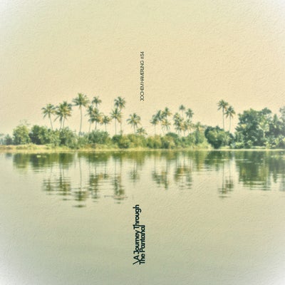 A Journey Through The Pantanal