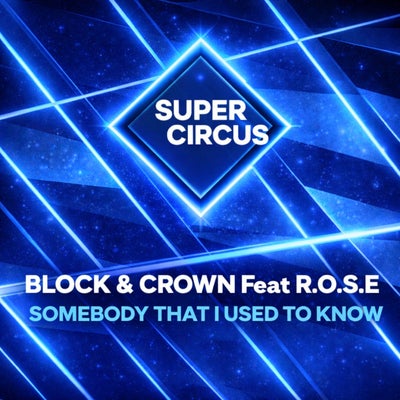 Somebody That I Used To Know (feat. R.O.S.E)