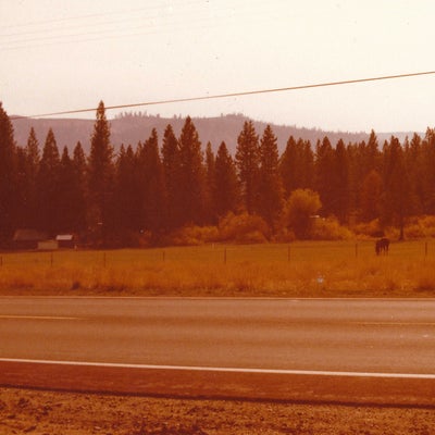 Toll Road