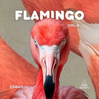 Flamingo Vol.2