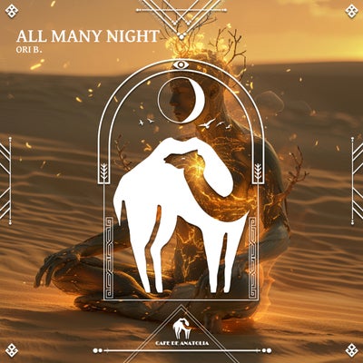 All Many Night
