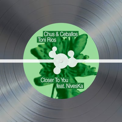 Closer To You (feat. NivesKa)